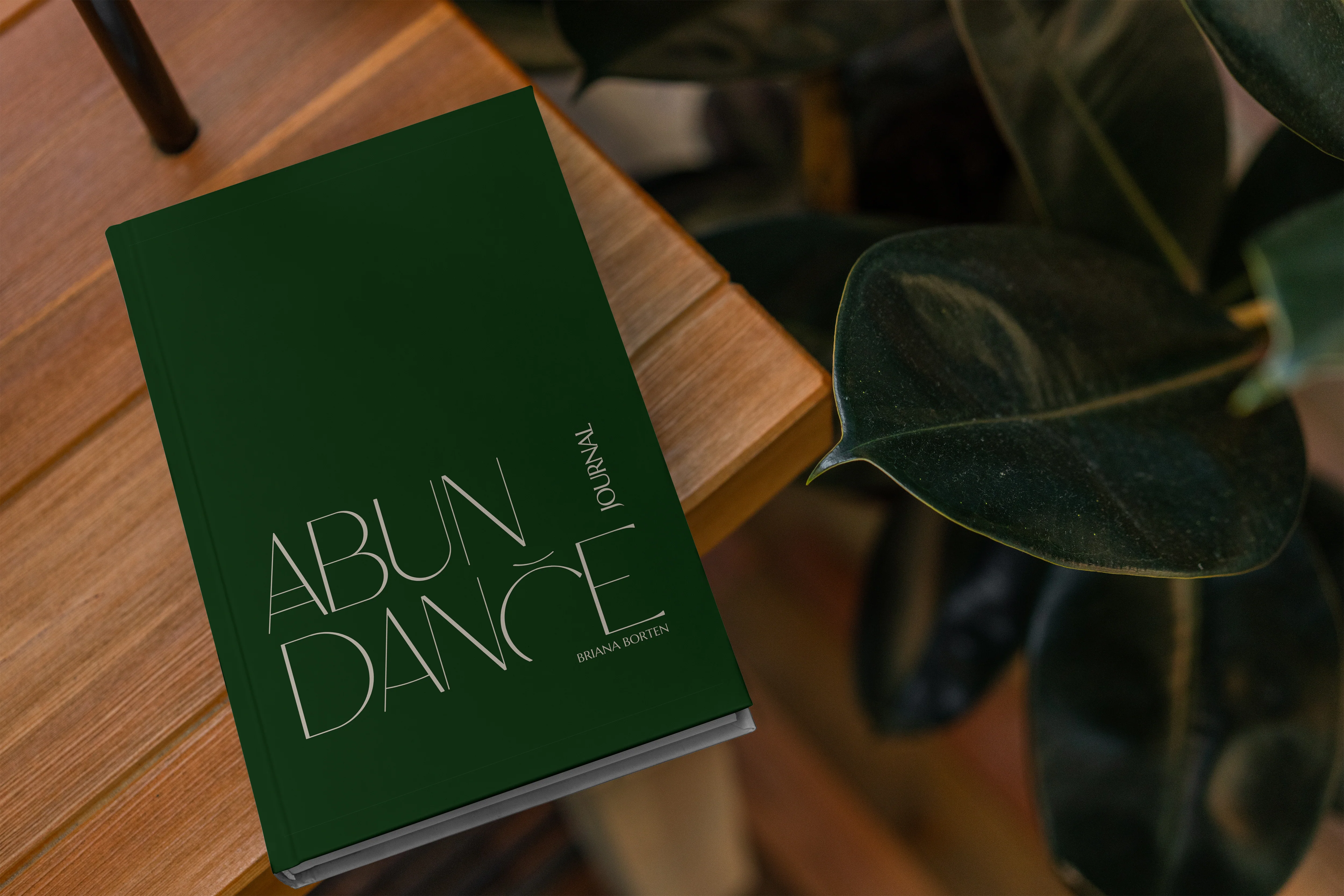 Abundance Journal - Image 10