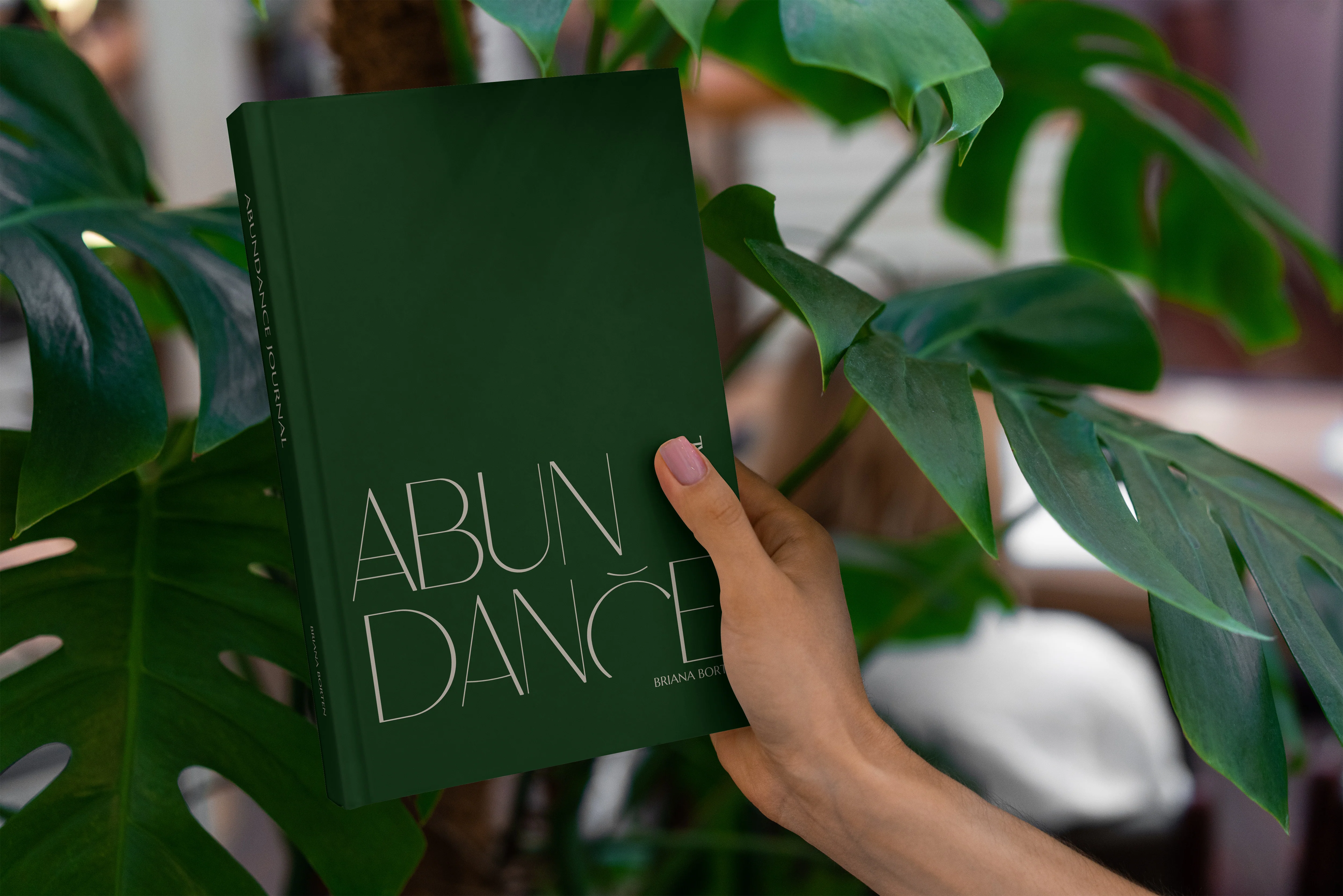 Abundance Journal - Image 5
