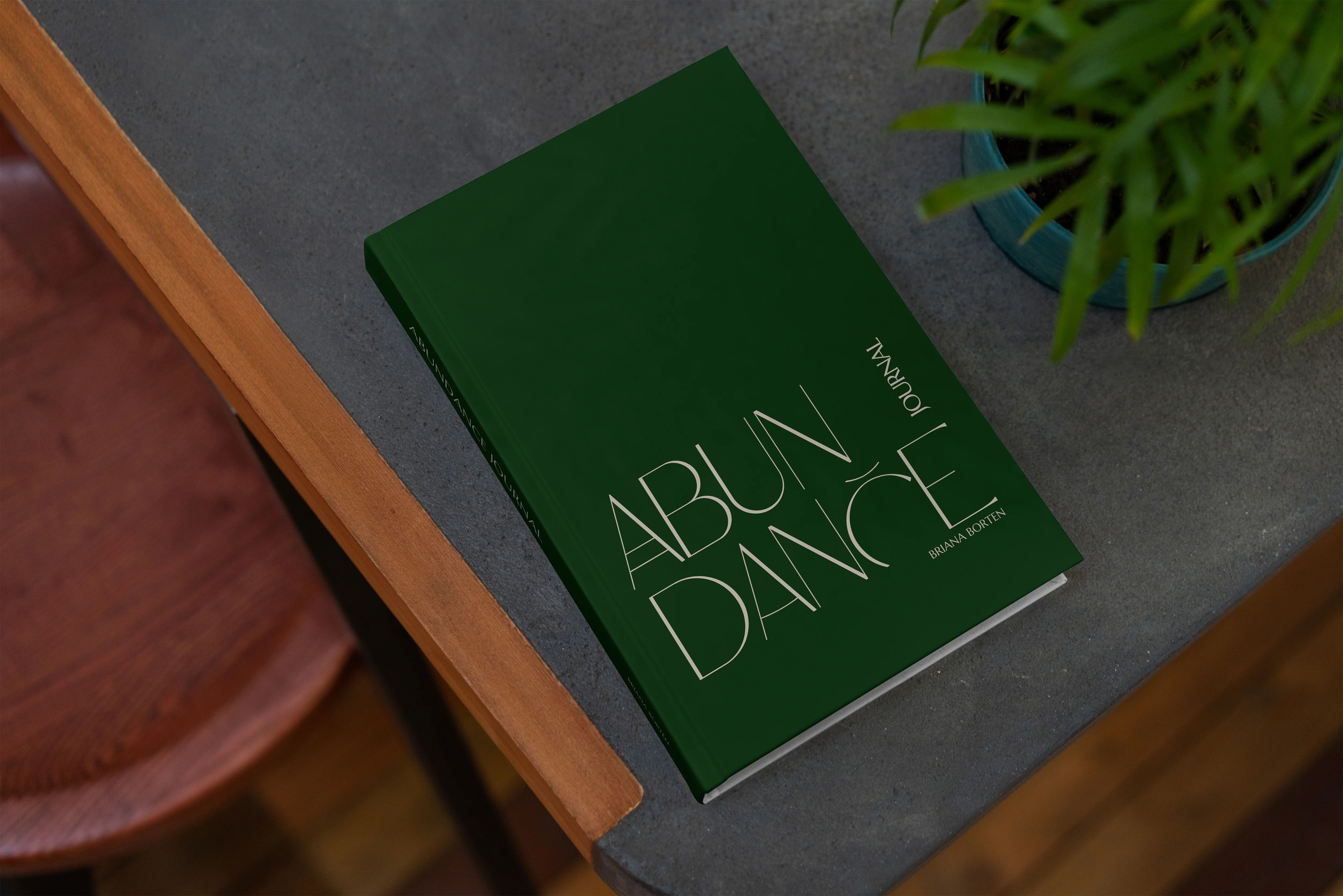 Abundance Journal - Image 9