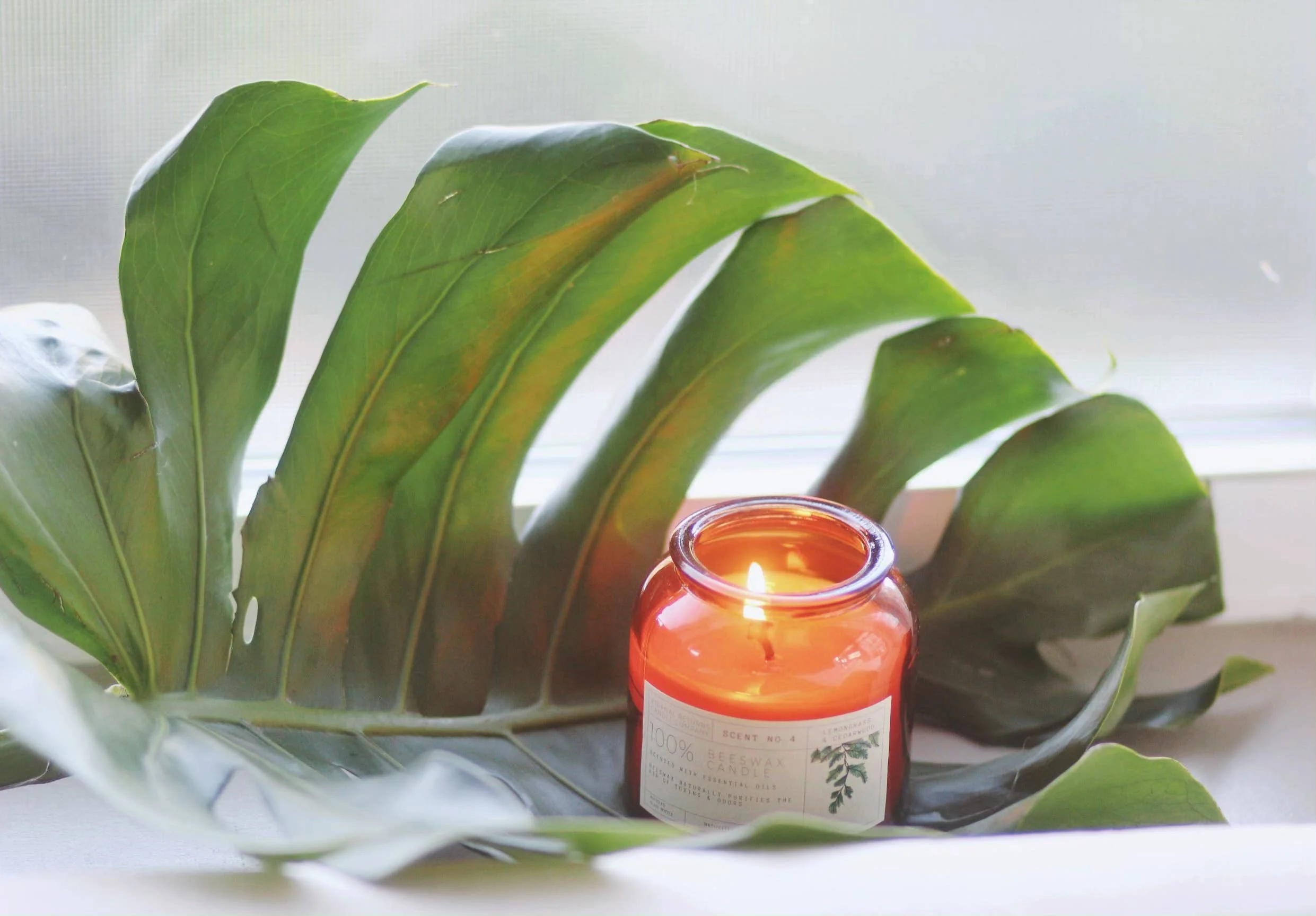 Beeswax Candle: Lemongrass + Cedarwood - Image 3
