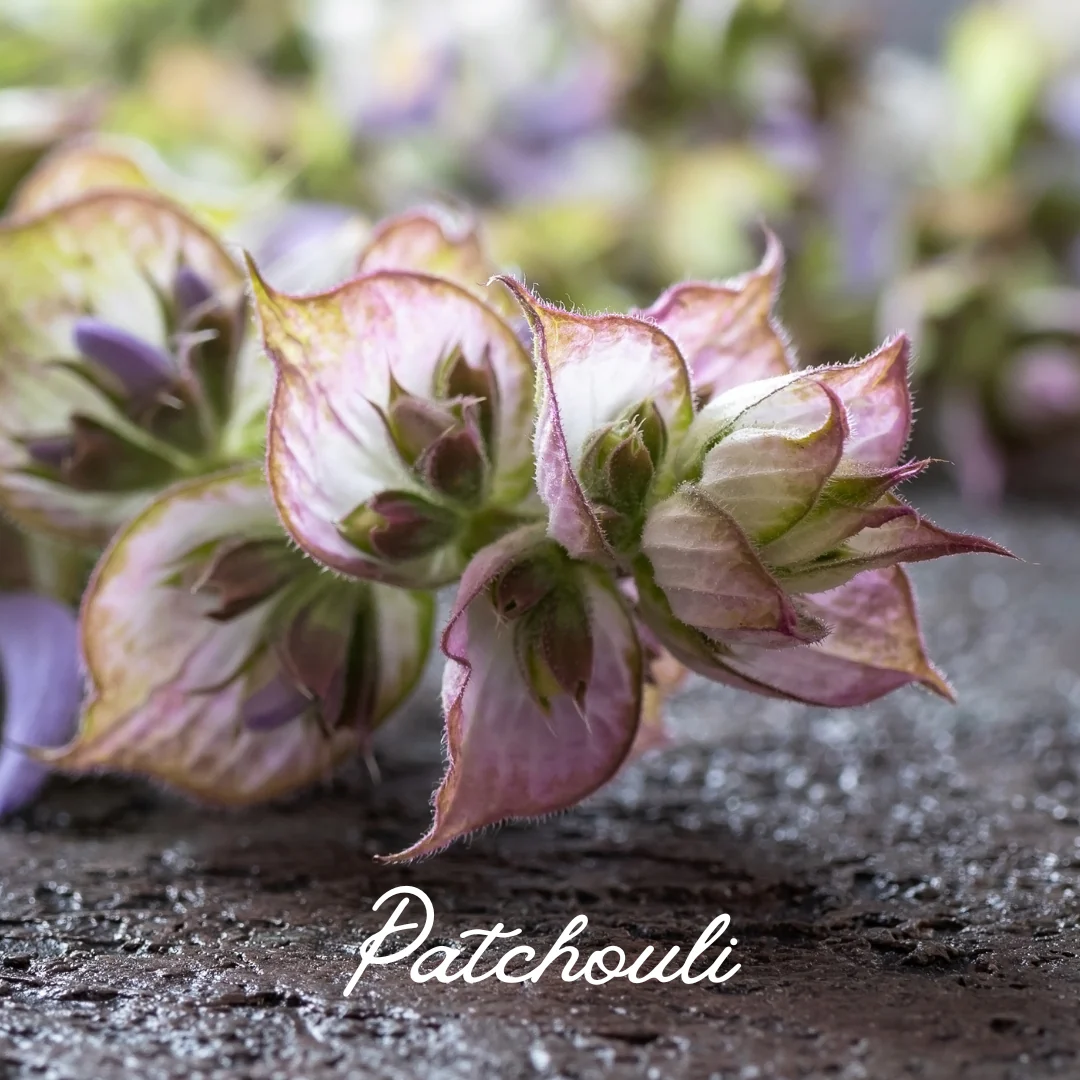 Citrus Patchouli + Rose Quartz Essential Oil Candle - Image 7