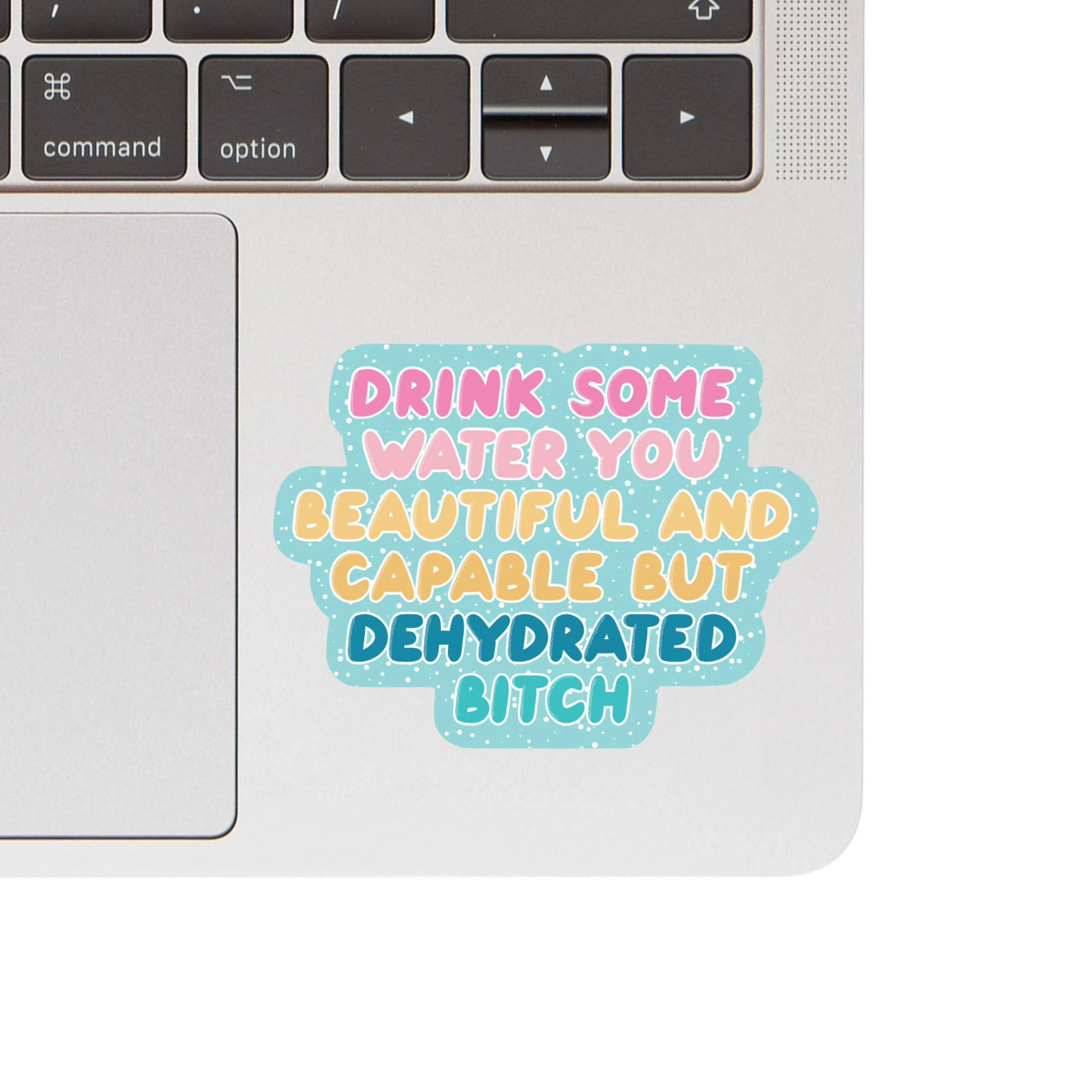Dehydrated Bitch Vinyl Sticker - Image 2