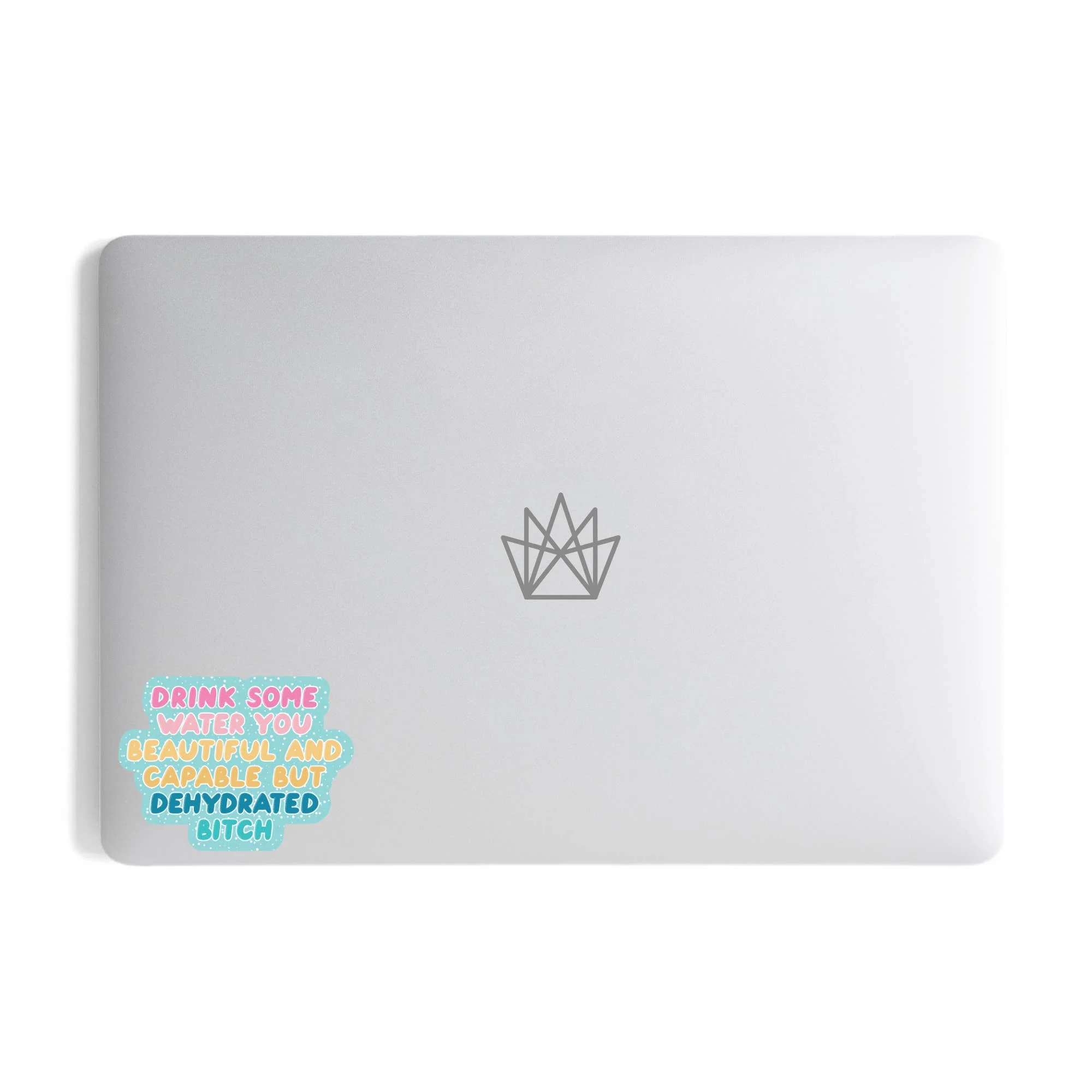 Dehydrated Bitch Vinyl Sticker - Image 6