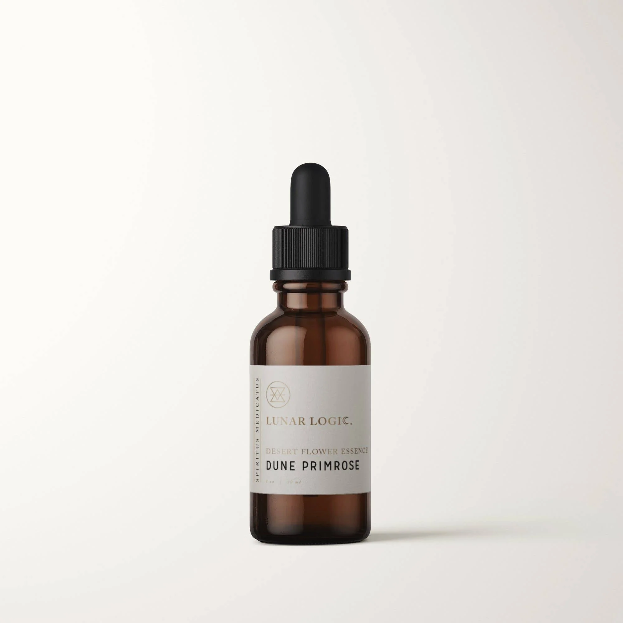 DUNE PRIMROSE / Flower Essence For Heart Connection - Image 2