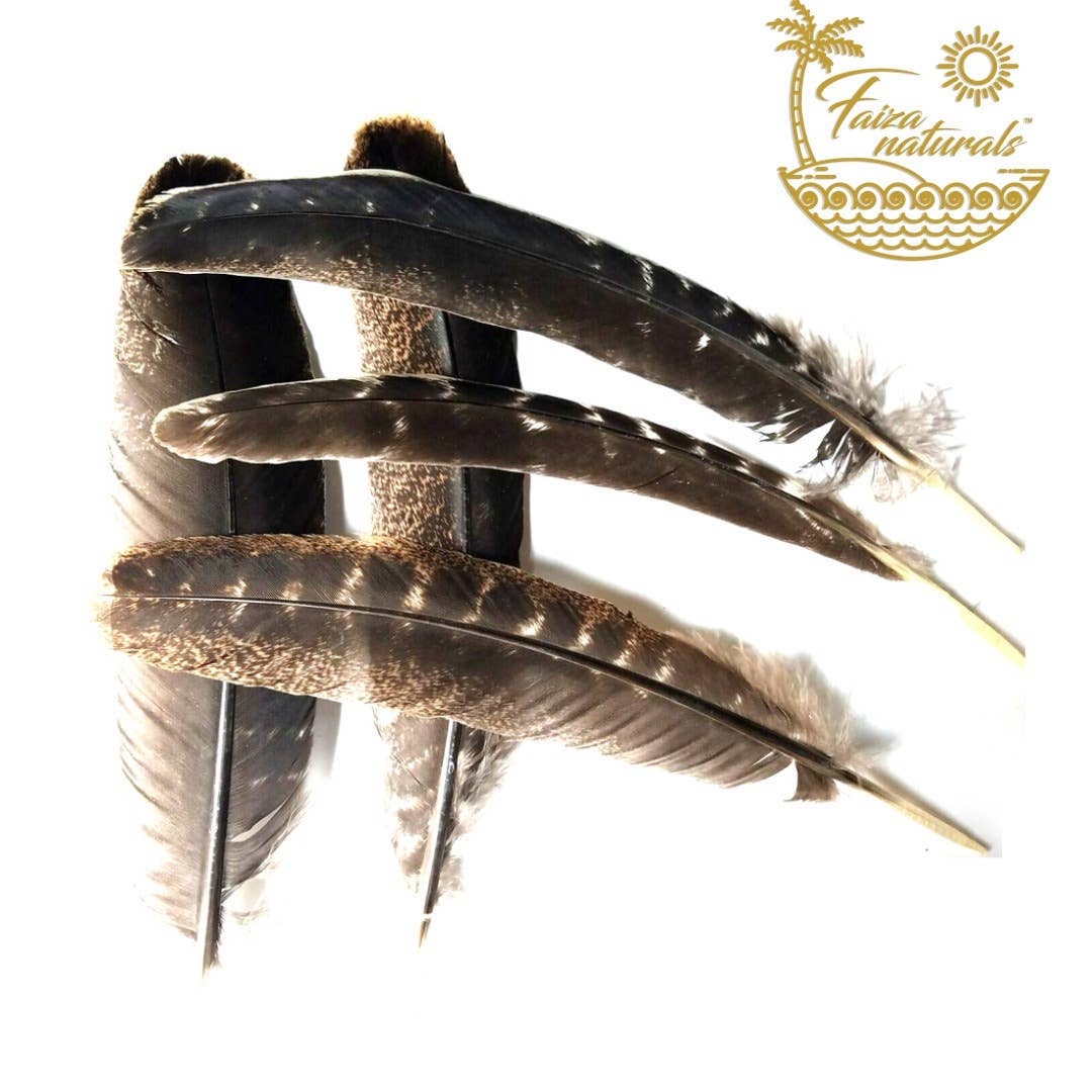 Feathers for Smudging - Image 6