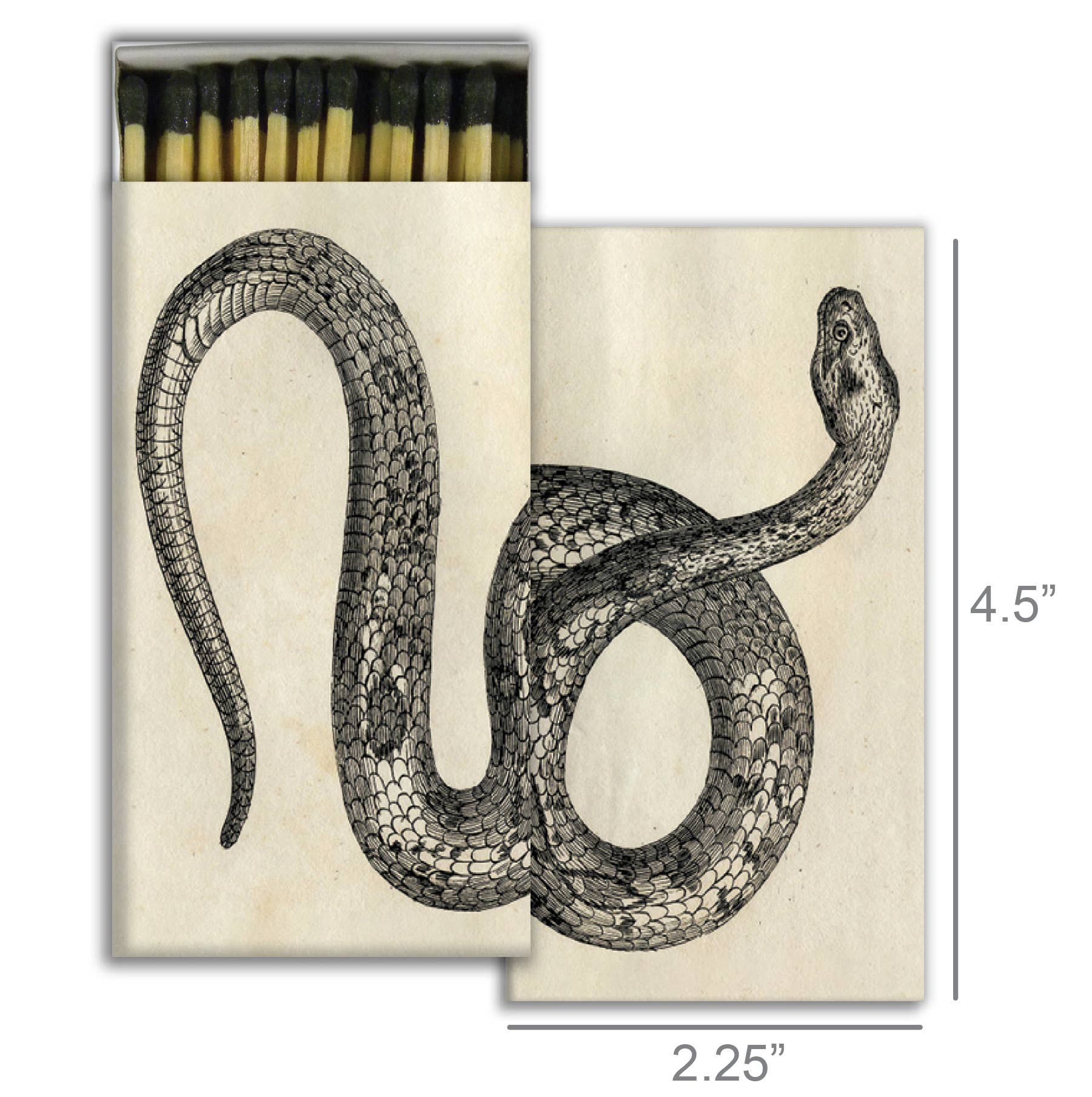 Match - Snake - Image 2