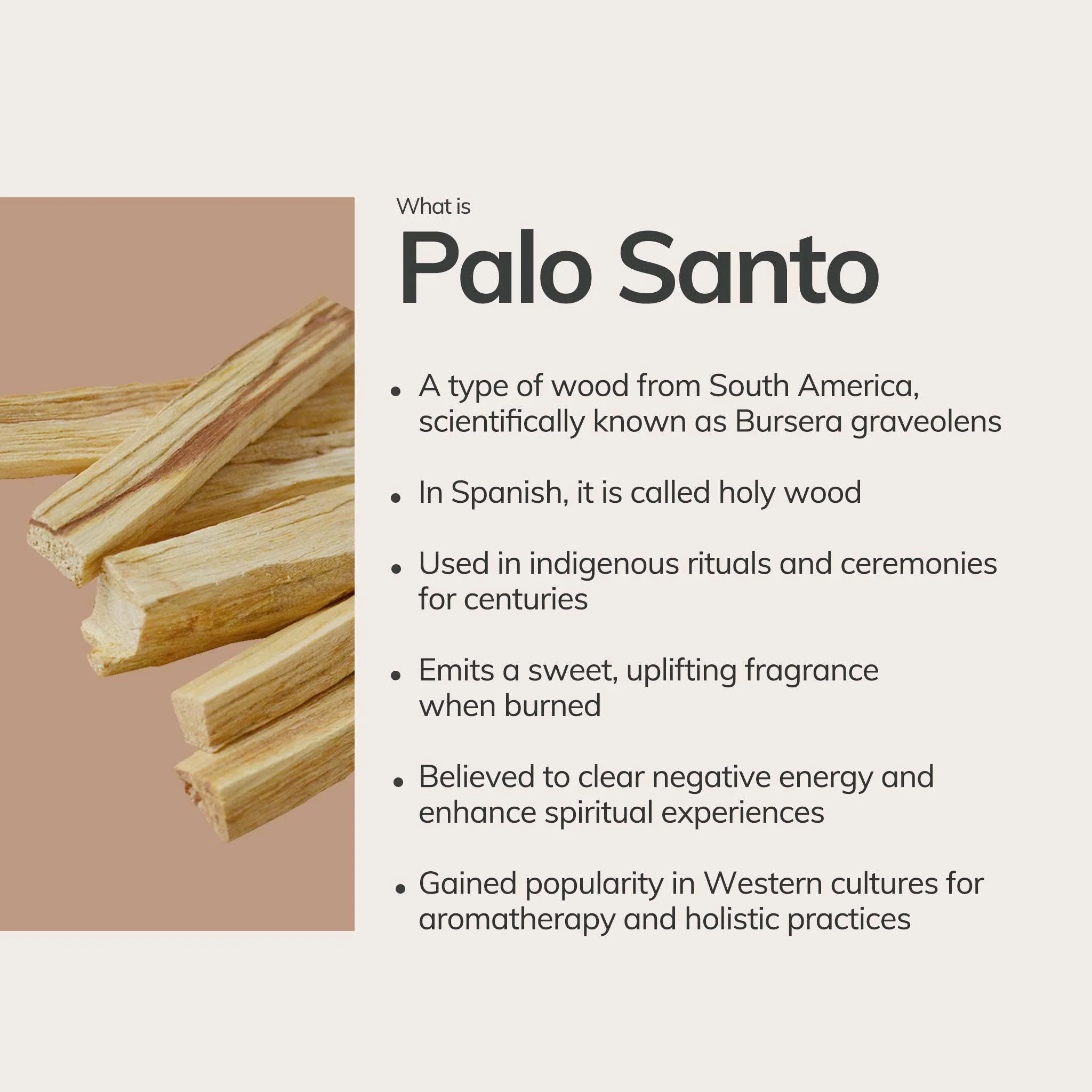 Palo Santo Hand Rolled Incense Stick - Image 4