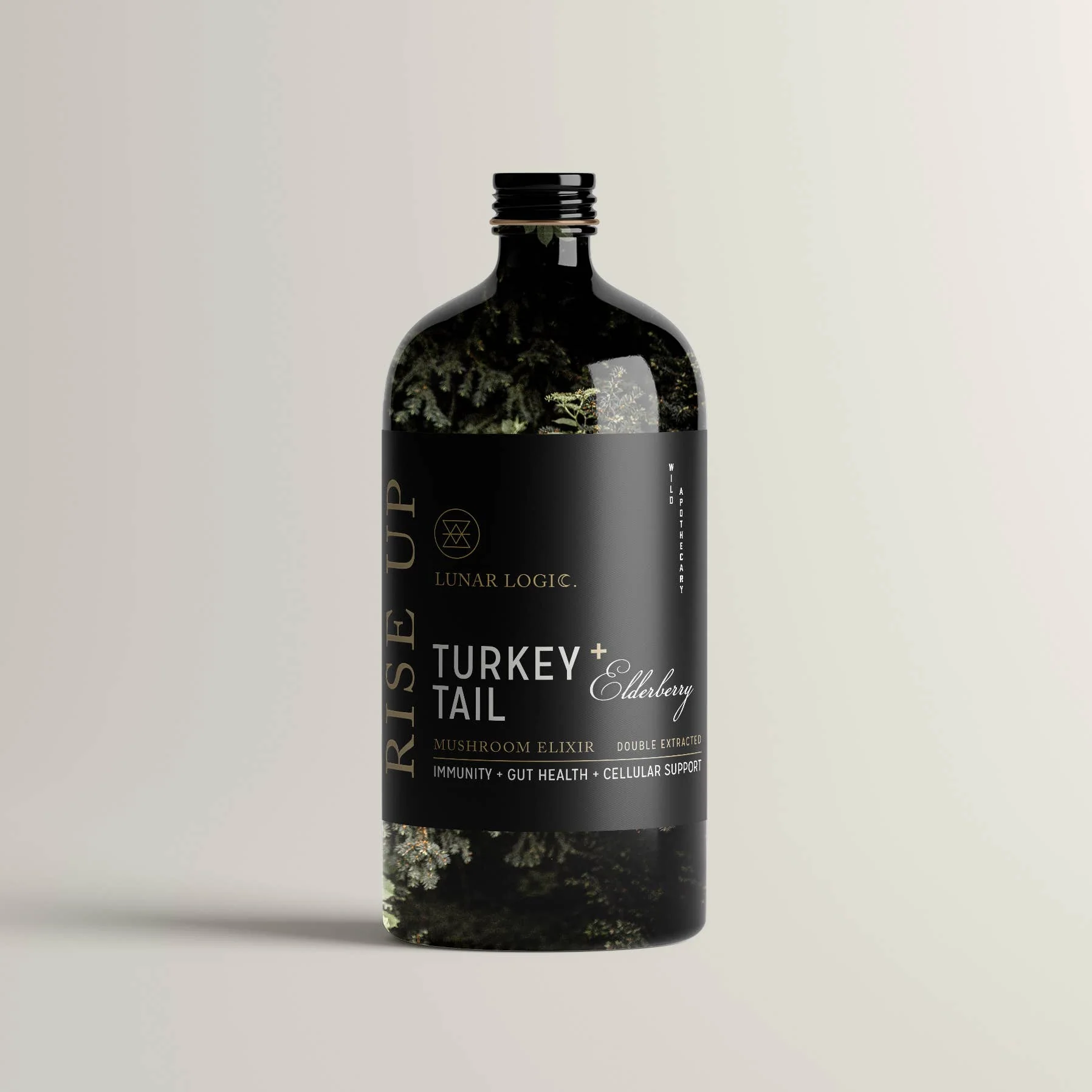 RISE UP / Turkey Tail + Elderberry Mushroom Elixir