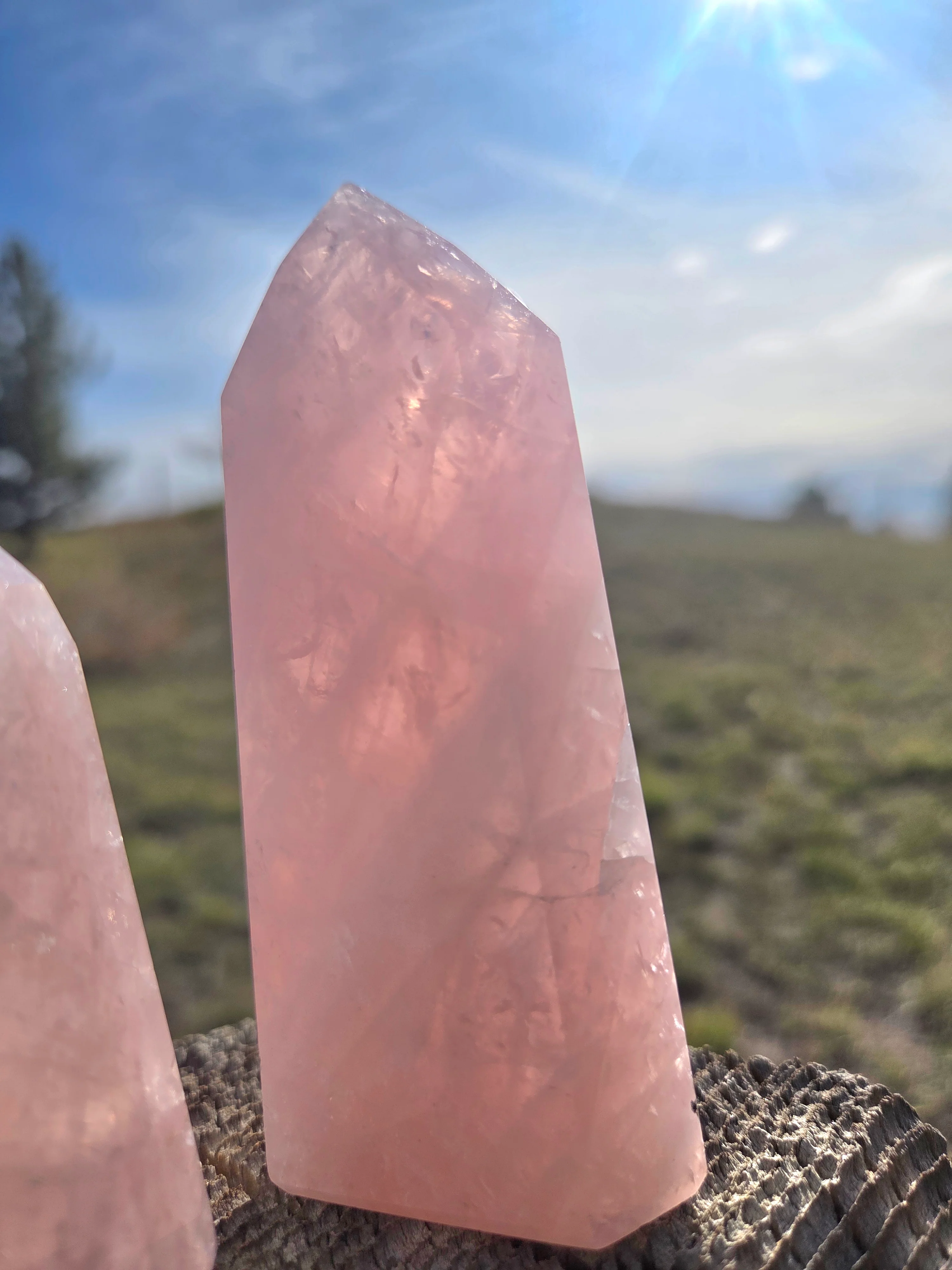 Rose Quartz Towers - Image 12