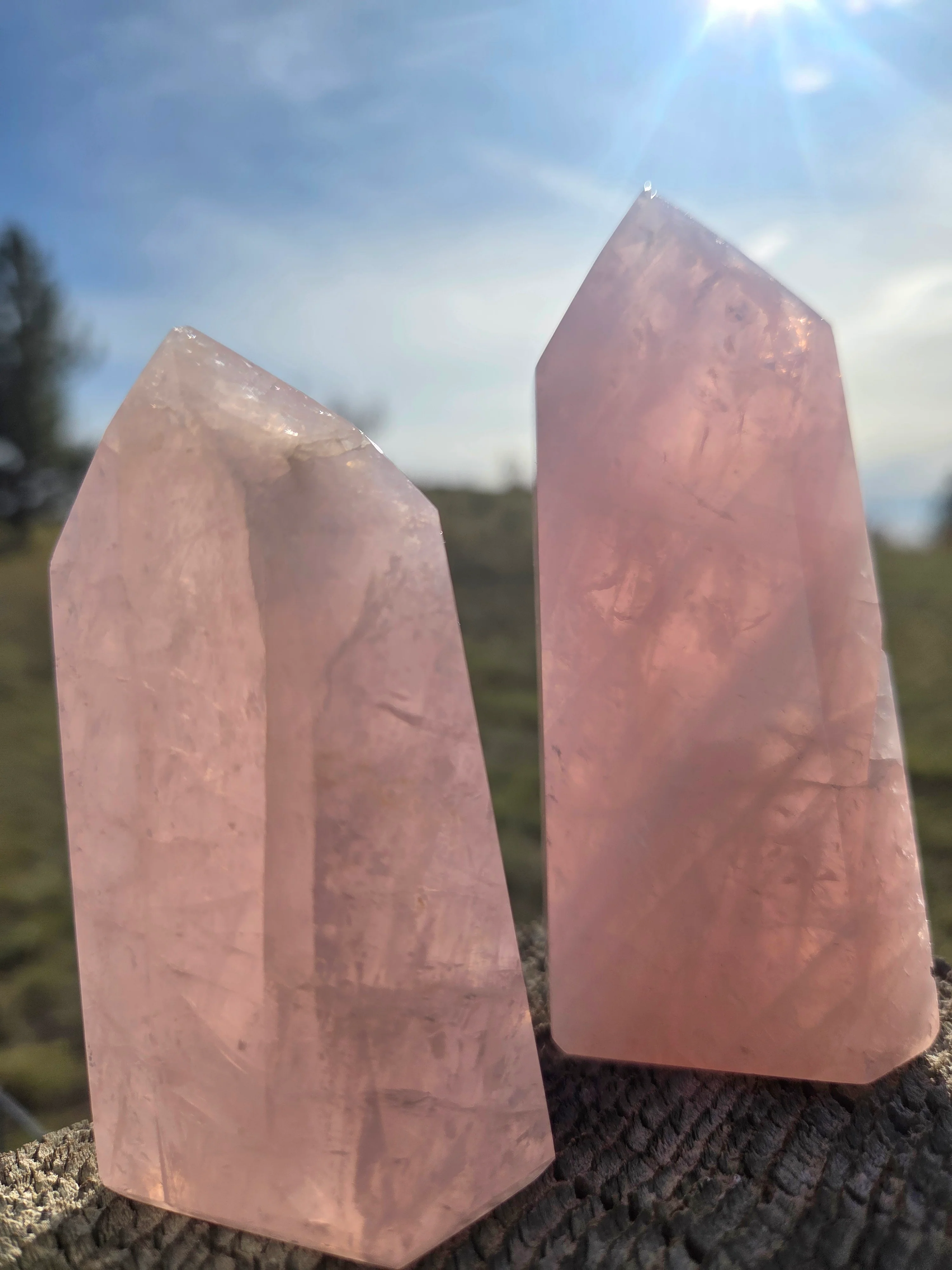 Rose Quartz Towers - Image 21