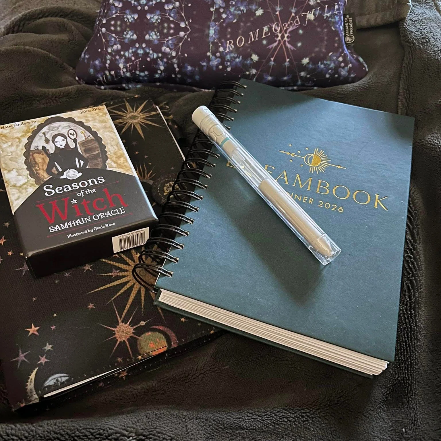 The 2026 Dreambook + Planner (Free + Shipping) - Image 13