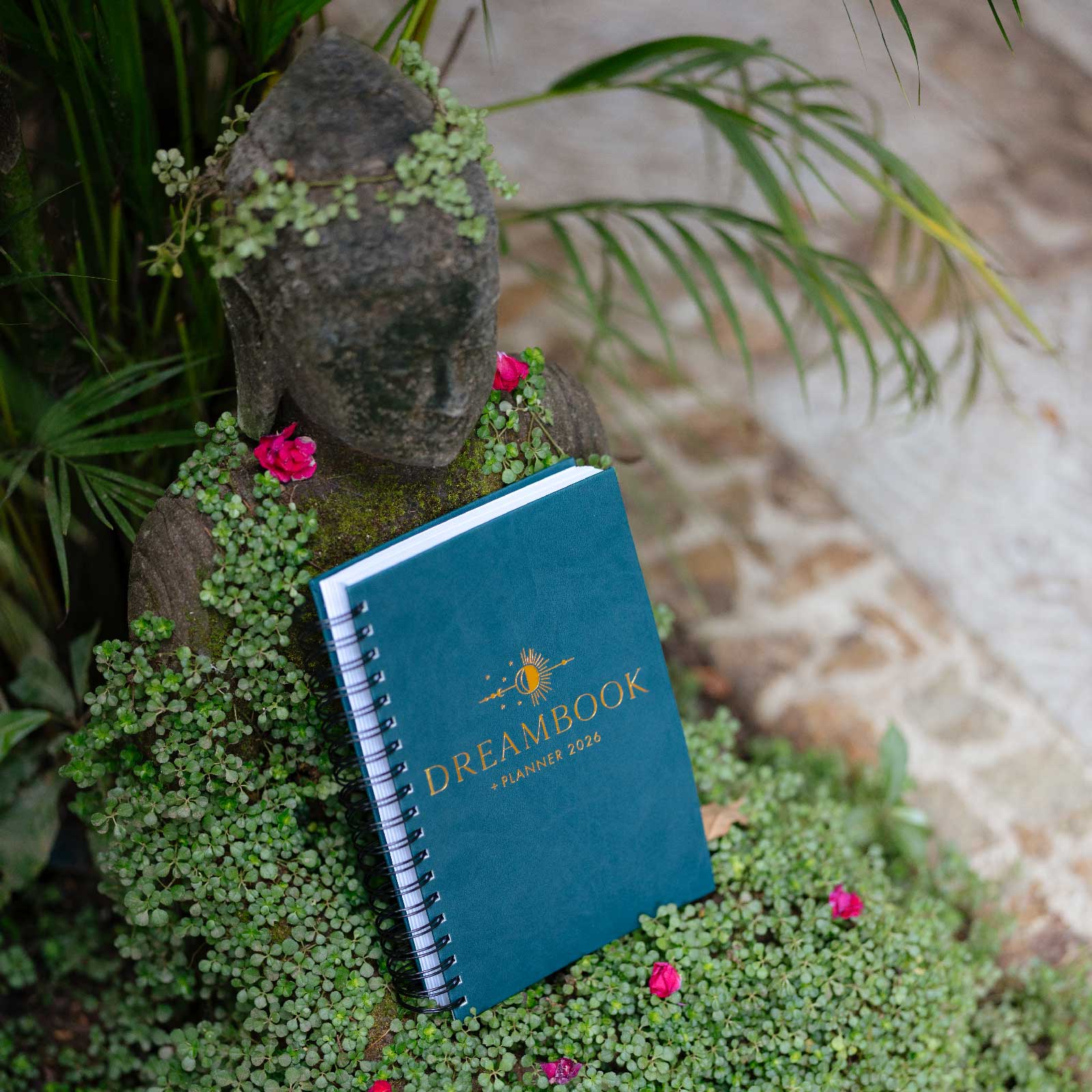 The 2026 Dreambook + Planner (Free + Shipping) - Image 9
